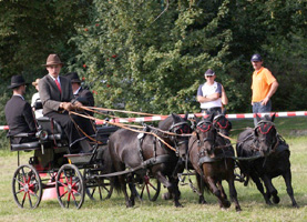 Daniel Fritz ist für Warsow unterwegs und gewann bei den Pony-Vierspännern die Silbermedaille. Foto: KaLo Daniel Fritz ist für Warsow unterwegs und gewann bei den Pony-Vierspännern die Silbermedaille. Foto: KaLo